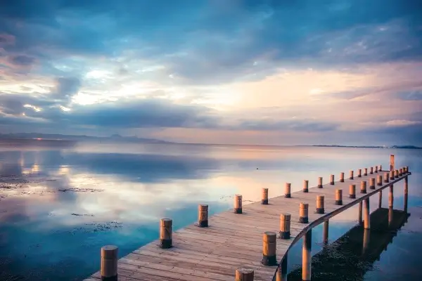 关于劳动法中试用期辞职的法律规定知识解读