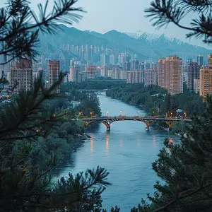 韩国专利号格式拓展阅读知识解读